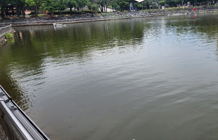 丽水龟船公园